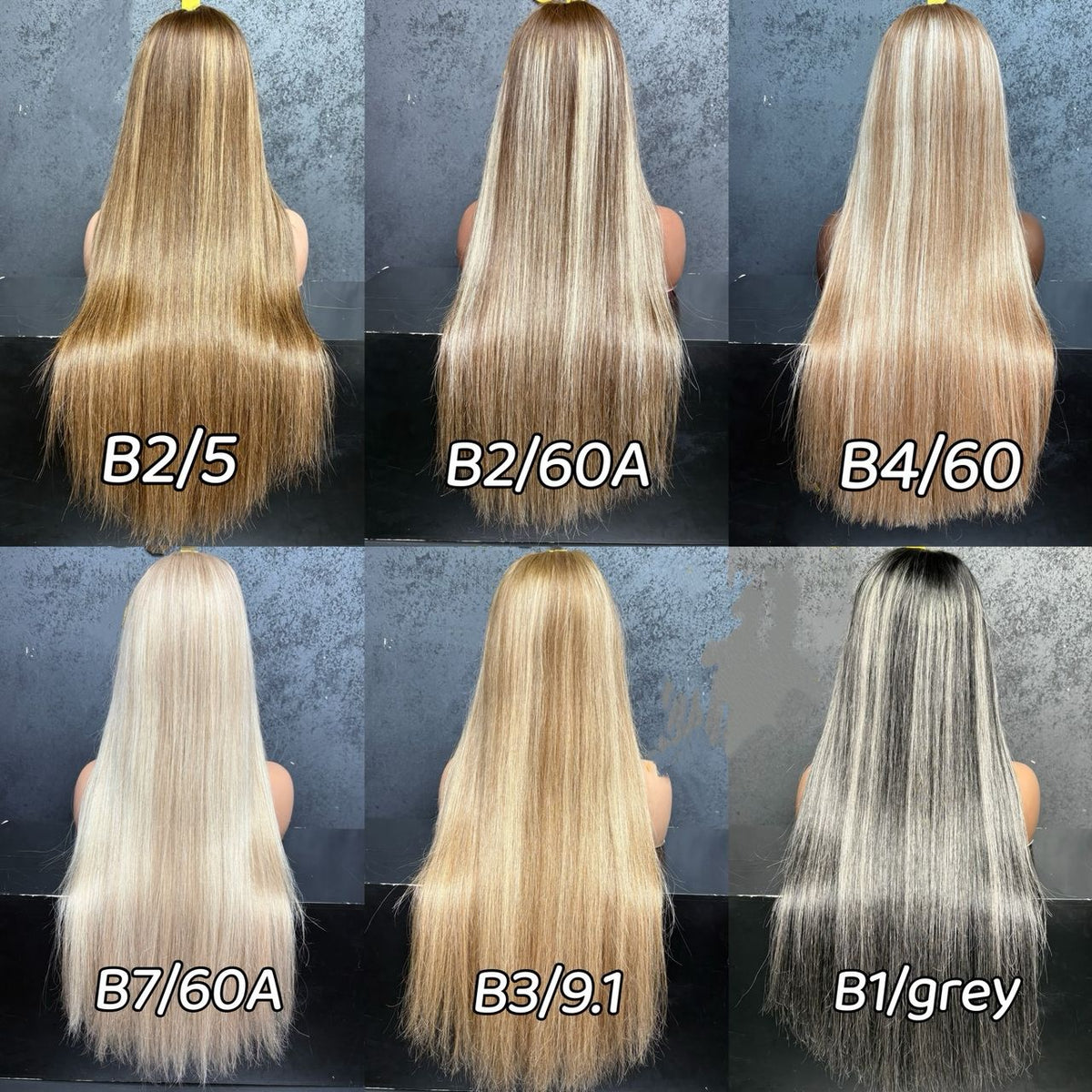 Six panels showing the back view of long, straight hair in different blonde and gray-blonde shades, labeled B2/5, B2/60A, B4/60, B7/60A, B3/9.1, and B1/gray.